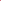 Peterophyllum Powder pink